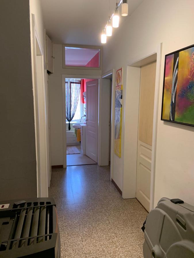 Casa Doya - Appartamento Vintage Muralto 외부 사진